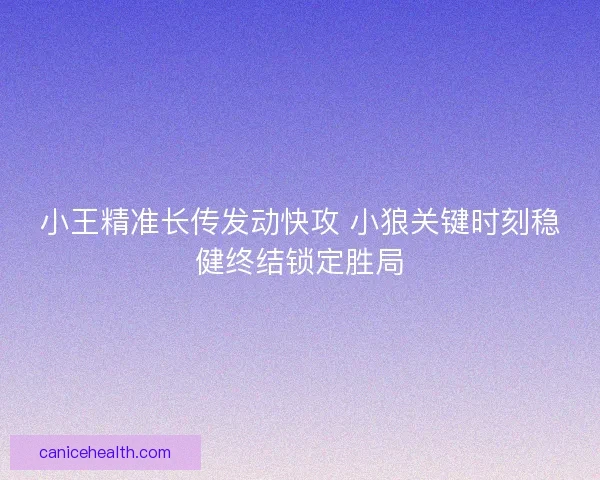 小王精准长传发动快攻 小狼关键时刻稳健终结锁定胜局